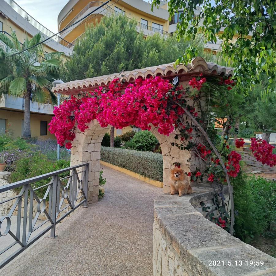 מוריירה Apartamento Con Piscina A Unos Metros De La Playa מראה חיצוני תמונה